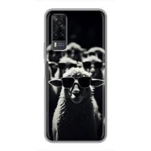 Чехол с принтом стильные животные для Виво у31 – Овечка в очках