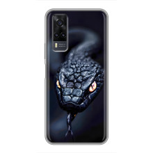 Чехол с картинкой «Хищники» для ViVO Y31 – Змея