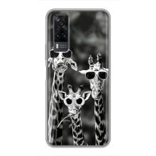 Силиконовый чехол с КАРТИНКАМИ лето для ViVO Y31 (AlphaPrint) (Жирафы в очках)