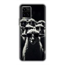 Чехол с принтом стильные животные для Виво у33с (Овечка в очках)