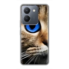 Чехлы с Котиками для VIVO Y36 (VPrint) (Глаз кота)