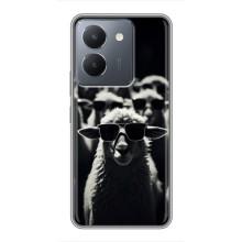 Чехол с принтом стильные животные для Виво У36 (Овечка в очках)