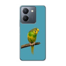 Силиконовый чехол с птичкой на VIVO Y36 – Попугайчик
