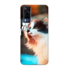 Чохол на Vivo Y51 (2020) з Котиками (VPrint) (Котик з метеликом)