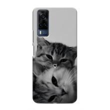 Чохол з малюнком кіт на Vivo Y51 (2020) – Пара котів