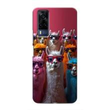 Чохол з принтом стильні тварини для Vivo Y51 (2020) – Лами в окулярах