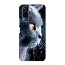 Чохли з Котиками для VIVO Y53S (VPrint) (Сірий Кіт)