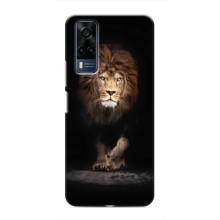 Чехол со Львом для VIVO Y53S (VPrint) (Лев)
