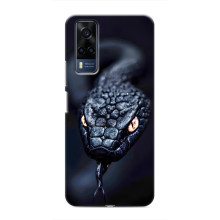 Чехол с картинкой «Хищники» для VIVO Y53S – Змея
