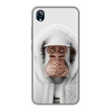 Чехлы с Обезьянами NFT для ViVO Y91C (AlphaPrint) (обезьяна NFT в тату)