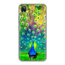Чехол с птицами на ViVO Y91C (VPrint) (Яркий Павлин)