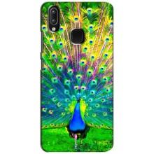 Чохол з пташками на ViVO Y93 Lite (VPrint) (Яскравий Павлин)