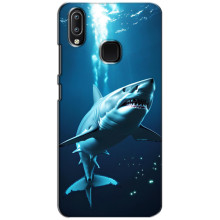 Чехол с картинкой «Хищники» для ViVO Y93 Lite – Акула