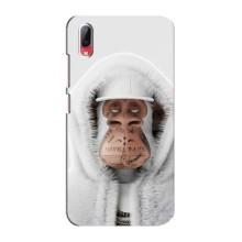 Чехлы с Обезьянами NFT для Vivo Y93 / Y93S (AlphaPrint) (обезьяна NFT в тату)