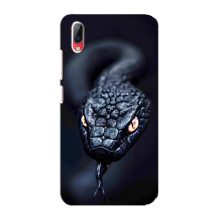 Чохол з картинкою 'Хижаки' для Vivo Y93 / Y93S – Змія