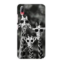 Силиконовый чехол с КАРТИНКАМИ лето для Vivo Y93 / Y93S (AlphaPrint) (Жирафы в очках)