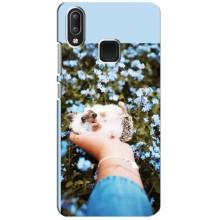 Чехлы с изображением разных животных для Vivo Y95 (Ежик на руках)