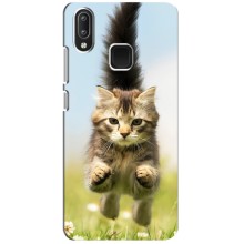 Чехлы с Котиками для Vivo Y95 (VPrint) (Прыжок кота)