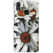 Чехол с ромашками на Vivo Y95 – Цветы Ромашки