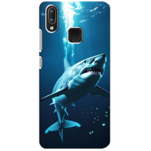 Чохол з картинкою 'Хижаки' для Vivo Y95 – Акула