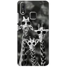 Силиконовый чехол с КАРТИНКАМИ лето для Vivo Y95 (AlphaPrint) (Жирафы в очках)