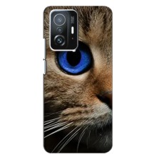 Чехлы с Котиками для Xiaomi 11T / 11T Pro (VPrint) (Глаз кота)