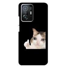 Бампер з принтом Меми для Xiaomi 11T / 11T Pro – Кіт у сльозах
