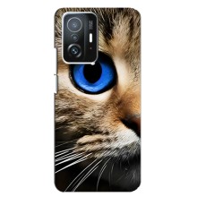 Чехлы с Котиками для Xiaomi 11T / 11T Pro (VPrint) (Глаз кота)