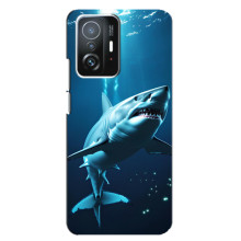 Чехол с картинкой «Хищники» для Xiaomi 11T / 11T Pro (Акула)