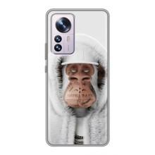 Чехлы с Обезьянами NFT для Xiaomi 12 / 12X (AlphaPrint) (обезьяна NFT в тату)