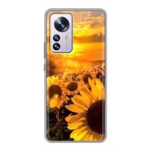 Чехол с Цветами для Xiaomi 12 / 12X (поле подсолнухов)