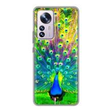 Чехол с птицами на Xiaomi 12 / 12X (VPrint) (Яркий Павлин)