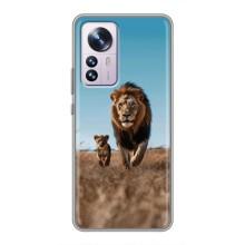 Чехол Король лев на Сяоми 12 / 12х (Мусафа и Симба)