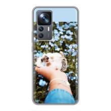 Чехлы с изображением разных животных для Xiaomi 12T Pro (Ежик на руках)