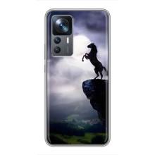 Чехлы с изображением разных животных для Xiaomi 12T Pro (Лошадь)