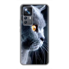 Чехлы с Котиками для Xiaomi 12T Pro (VPrint) (Серый Кот)