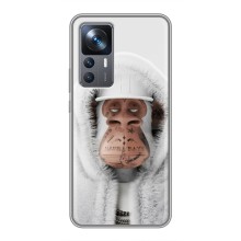 Чохли з Мавпами NFT для Xiaomi 12T Pro (AlphaPrint) (мавпа NFT в тату)