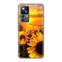 Чехол с Цветами для Xiaomi 12T Pro (поле подсолнухов)