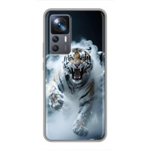 Чехол с картинкой «Хищники» для Xiaomi 12T Pro – Тигр