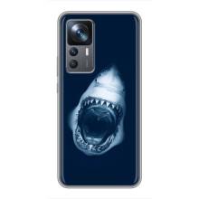 Силиконовый бампер с картинкой животных для Xiaomi 12T Pro (Пасть Акулы)
