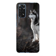 Чехол с Хаски для Xiaomi 12T - (AlphaPrint) (Верный пес)