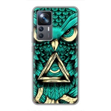 Чехол с птицами на Xiaomi 12T (VPrint) (Сова с глазом)