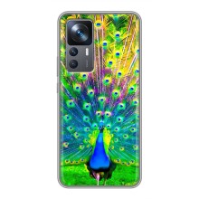 Чехол с птицами на Xiaomi 12T (VPrint) (Яркий Павлин)