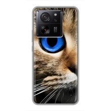 Чехлы с Котиками для Xiaomi 13T Pro (VPrint) (Глаз кота)