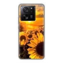 Чехол с Цветами для Xiaomi 13T Pro (поле подсолнухов)
