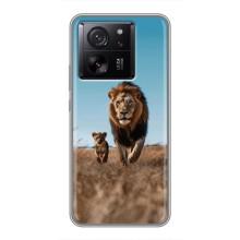 Чехол Король лев на Сяоми 13Т Про – Мусафа и Симба