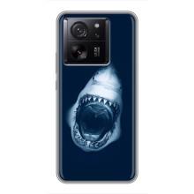Силиконовый бампер с картинкой животных для Xiaomi 13T Pro (Пасть Акулы)