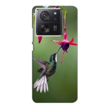 Силиконовый чехол с птичкой на Xiaomi 13T Pro (Калибри)