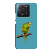 Силиконовый чехол с птичкой на Xiaomi 13T Pro (Попугайчик)