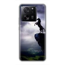 Чехлы с изображением разных животных для Xiaomi 13T (Лошадь)